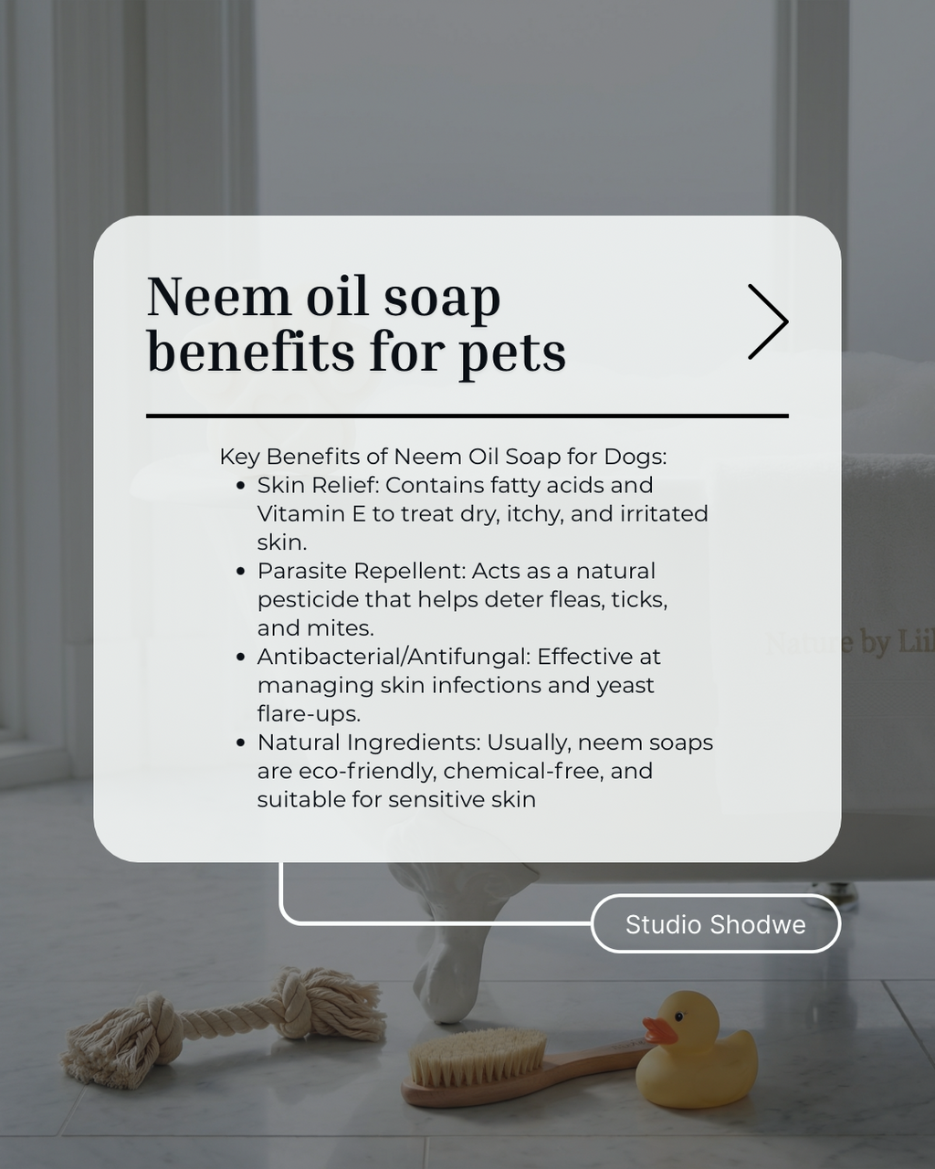 “my best friend " bar soap for dogs (Neem oil soap)