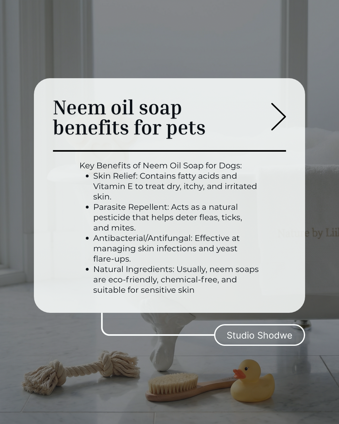“my best friend " bar soap for dogs (Neem oil soap)